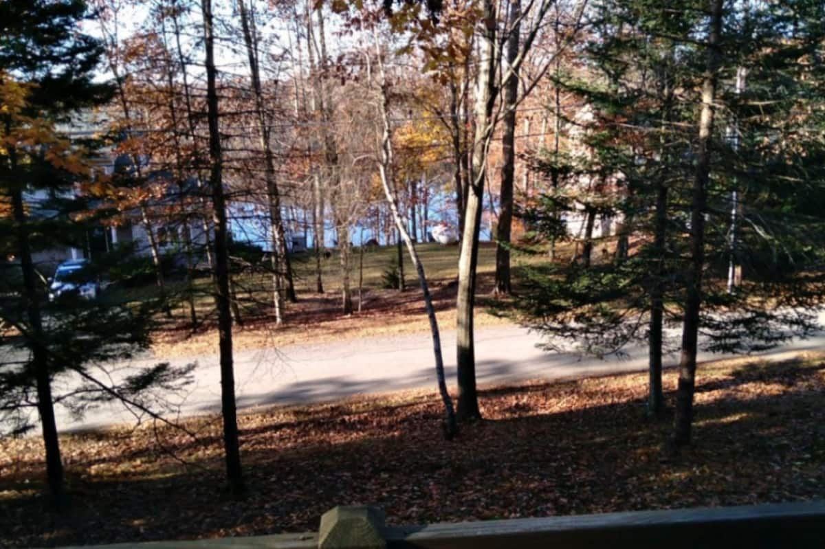 A wooded community beach on Arrowhead Lake